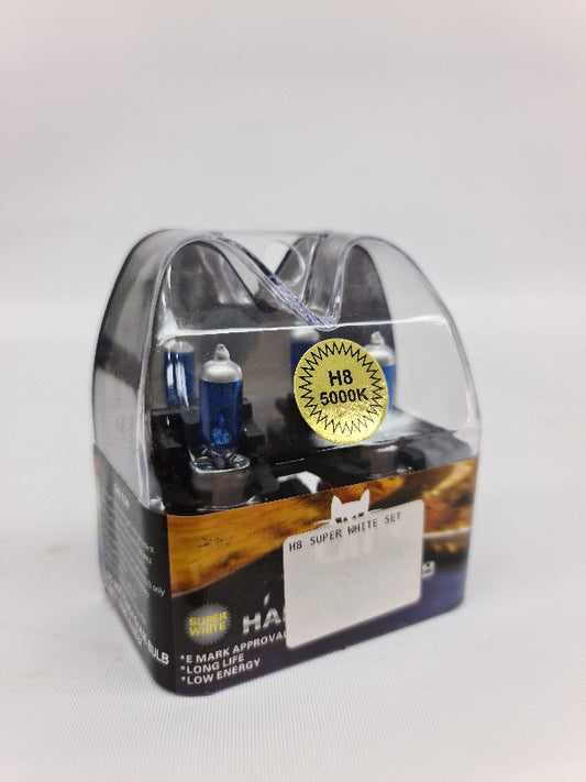 H8 SUPER WHITE SET
