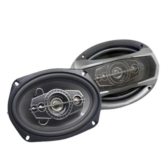 ICE POWER 6X9 1500W 5WAY